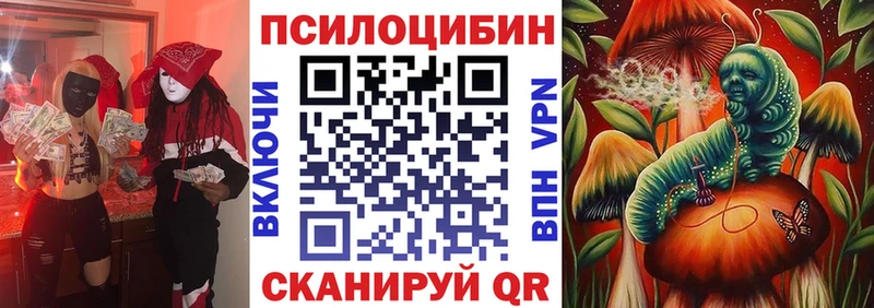 где можно купить наркотик  Гороховец  Галлюциногенные грибы прущие грибы 